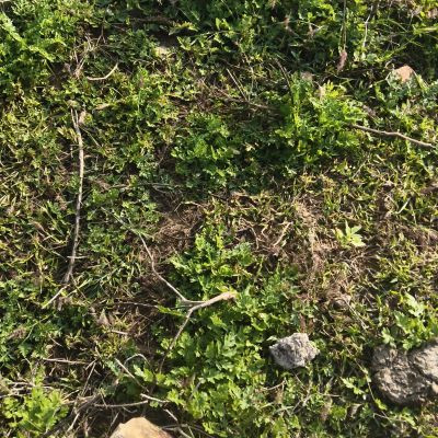 100999290335747218647 