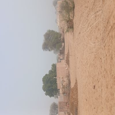 usha_editor_video usha_editor_video