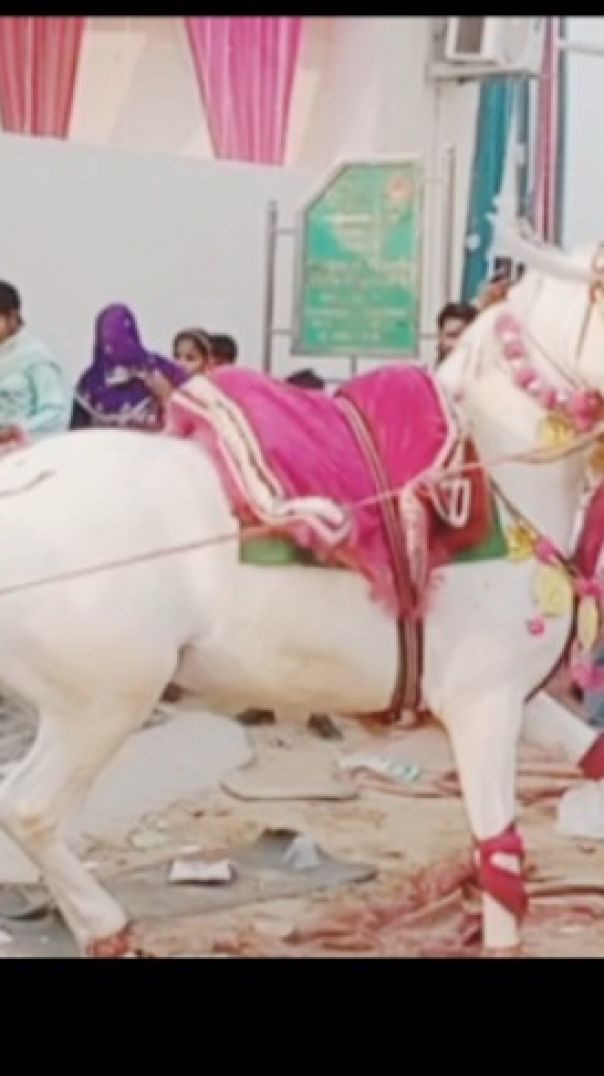 Me teri dusaman dusman tu mera