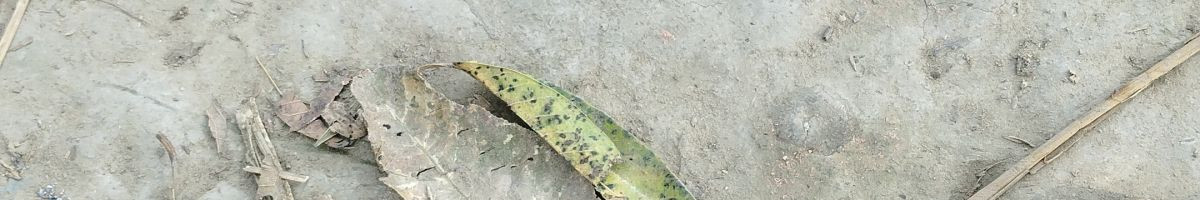 102622100172478256037 