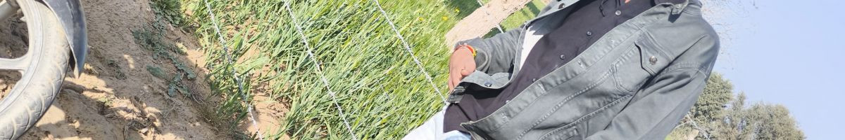 113390540978313210595 