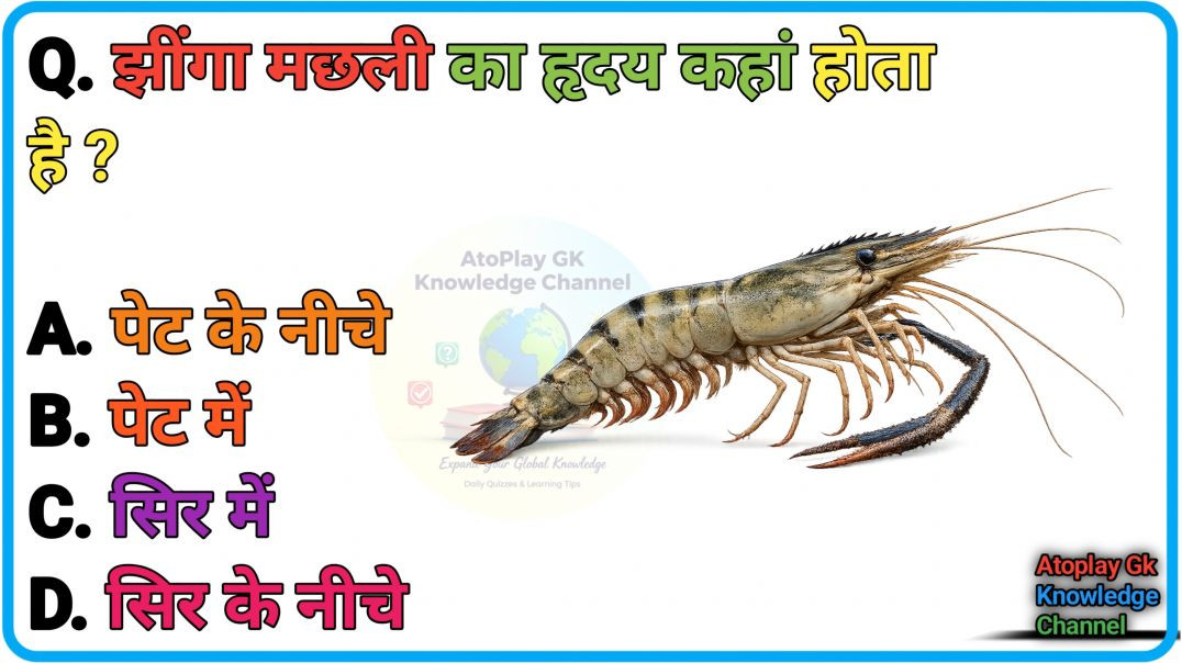⁣GK Video|GK question and answer|GK quiz|GK Today|GK in Hindi|general knowledge