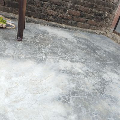 102087554365041261669 