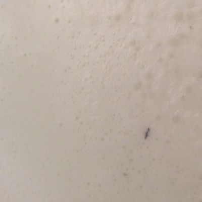 113147021811900179664