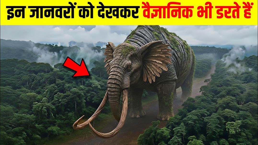 ⁣Top 10 Mysterious Animals of Congo कांगो जंगल के 10 सबसे रहस्यमयी जानवर