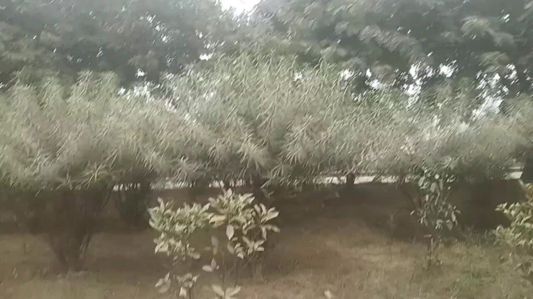 ⁣Silsile_mulakaton_ka(720p)
