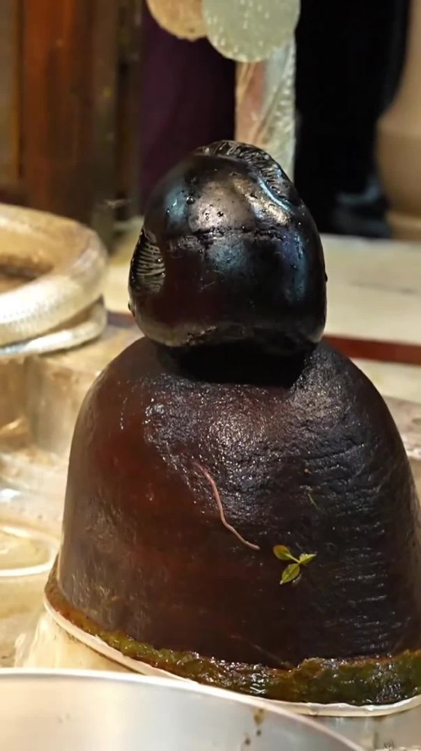 YouCut_20251112_174651217