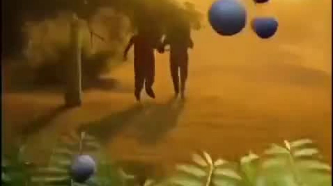 ⁣VID-20251204-WA0528