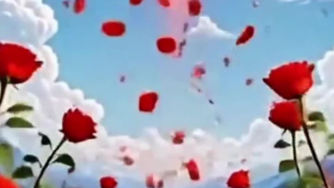 InShot_20260327_194410493