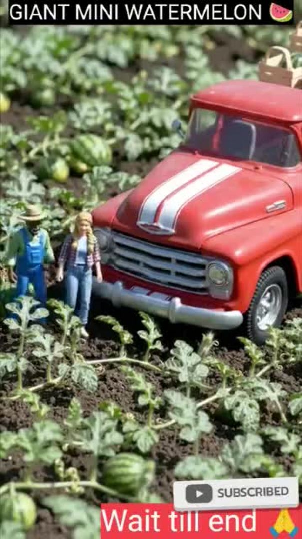 Tiny Farmers Grow Giant Watermelons 🍉  Miniature Farming #shorts