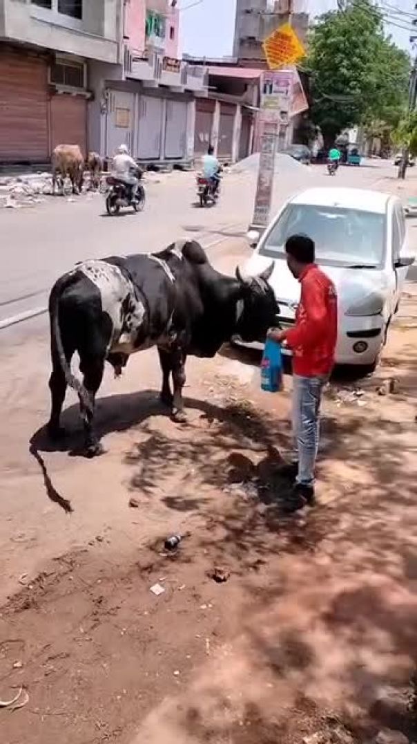 राधे राधे