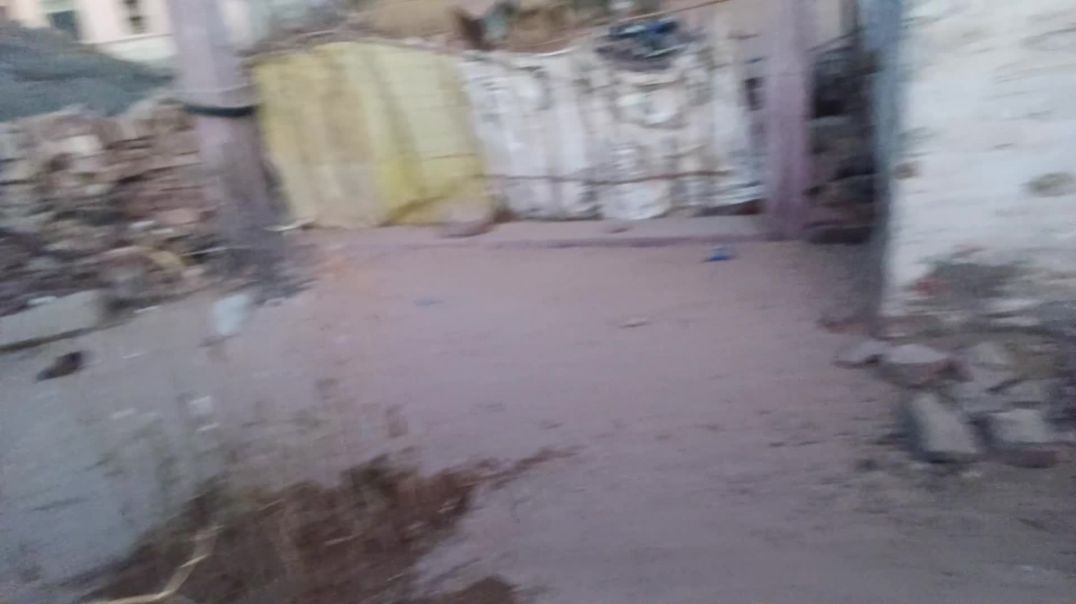 ⁣आज नानी ने ये किया बना दिया