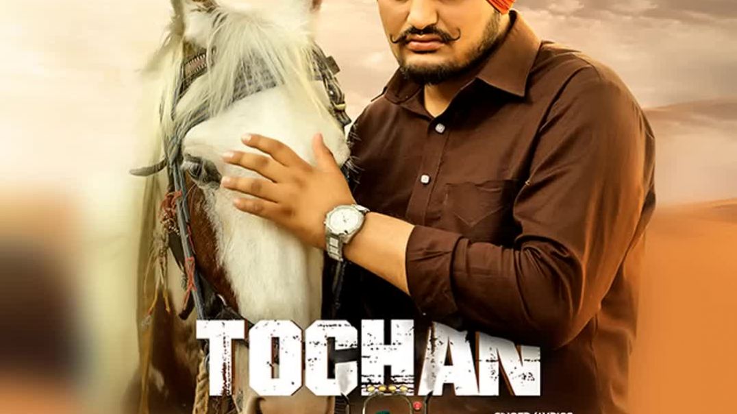 ⁣Tochan(LOFI song