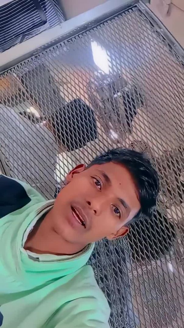 #😍🥰hamen tumse hua Hai pyar Ham Kya Karen🌹❣️