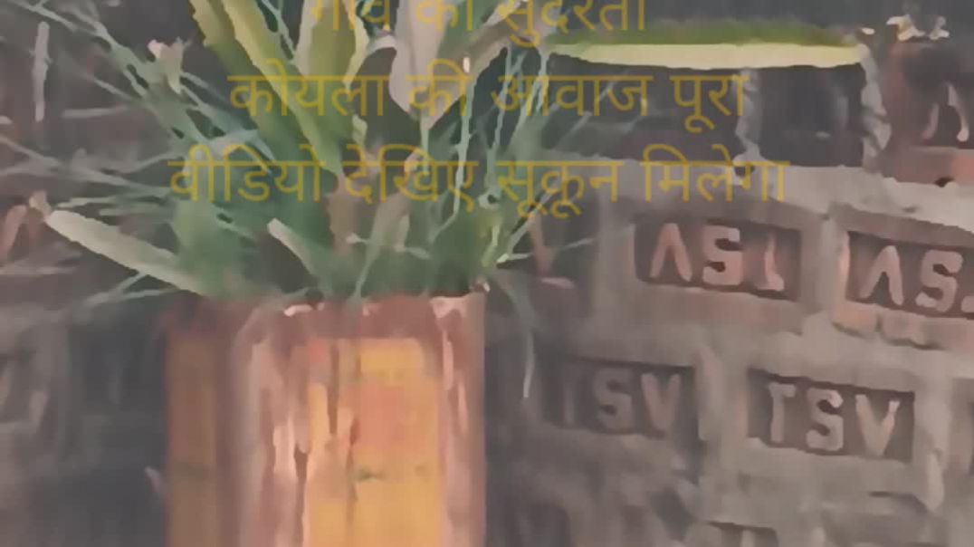 ⁣My fast bolog please support me 🙏🙏