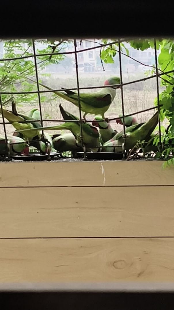 video_20260320_102741