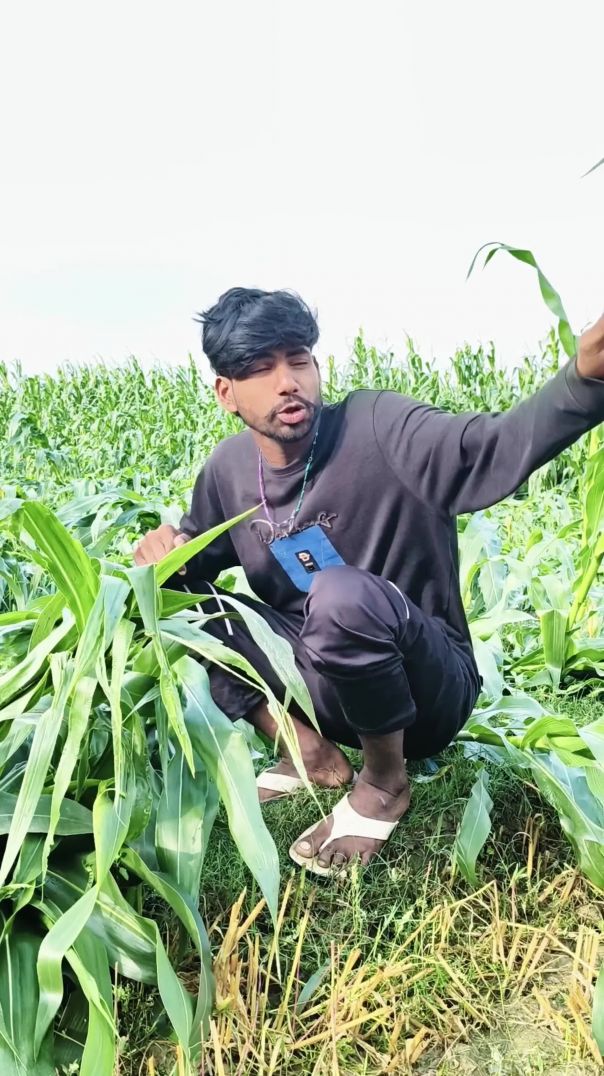 कॉमेडी