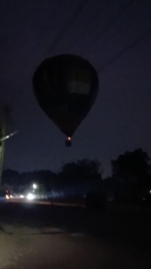 Natural  life is this