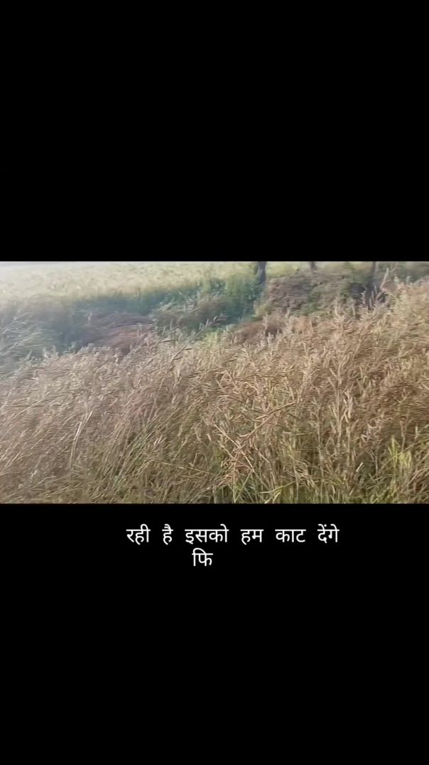 #villagevlog #gaonkilife #farminglife #desivlog #rurallife #indiavillage