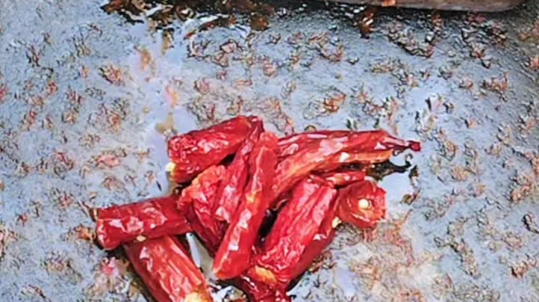 ⁣Desi khana #shabut lal mirch ki chatni 🤤#please like and subscribe 🥺❤️🙏