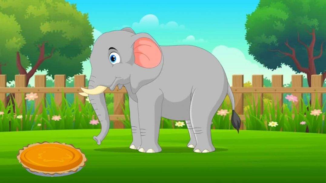 ⁣5जंगल bunch हिंदी कार्टून