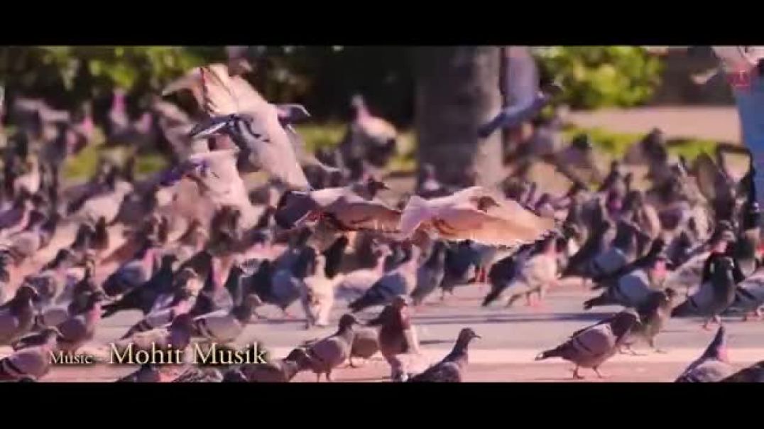 ⁣Vrindavan Jaana to Jarur Hai (Lyrical Video)_ Swati Mishra _ Mohit Musik _ T-Series(360P)