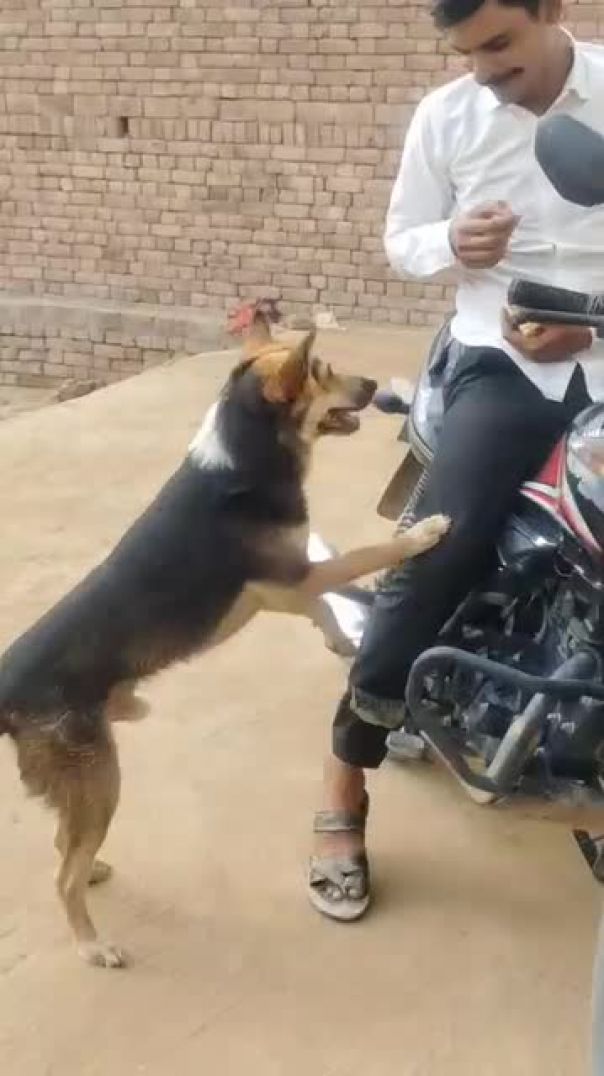 FB_VID_8765024873729268530