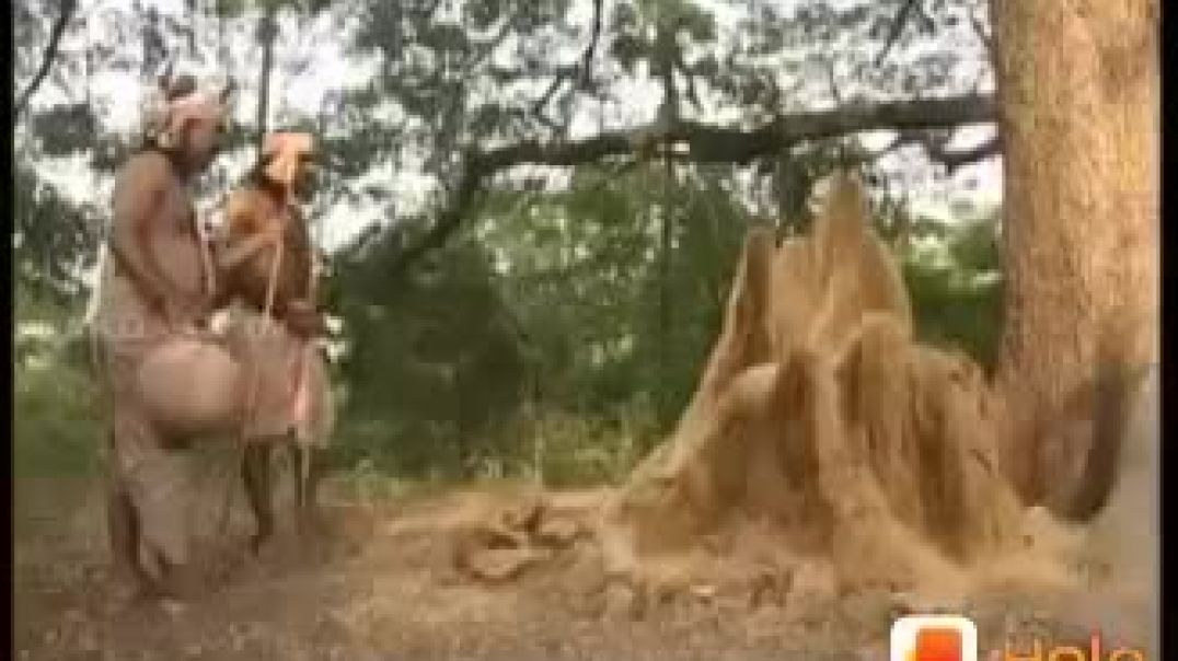 பாம்பாட்டி சித்தர் சட்டை முனி நாதர் சந்தித்த ஒரு சிறுகதை
