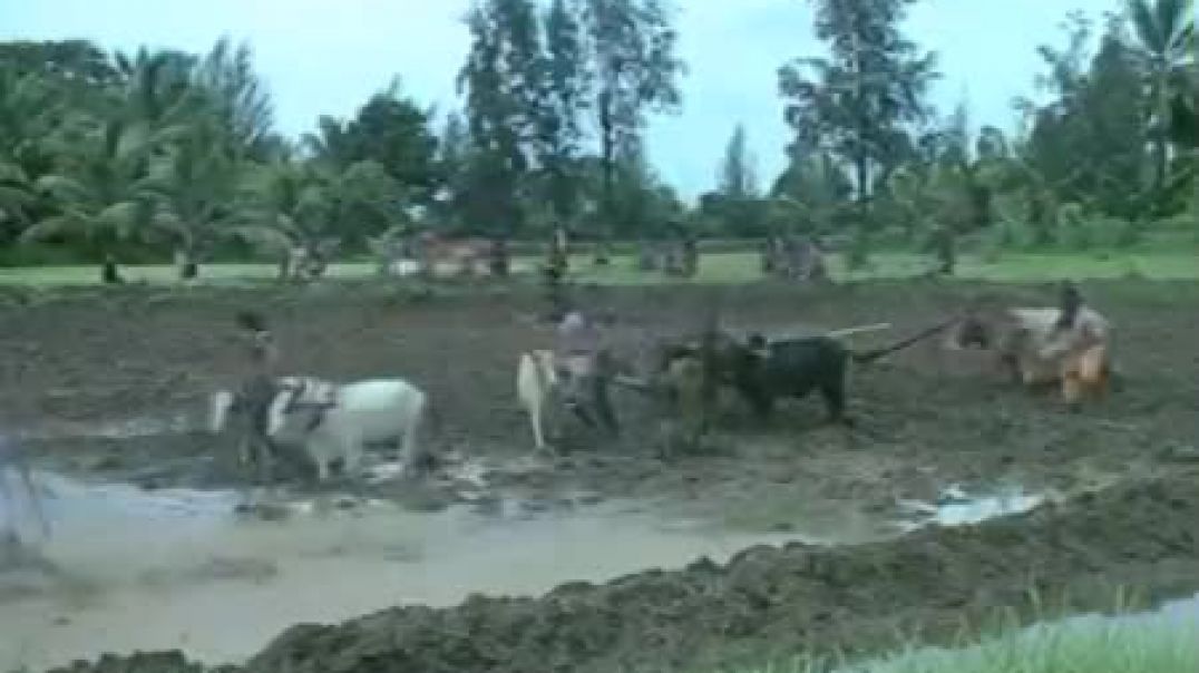 ⁣Facebook 799483685922615(SD)