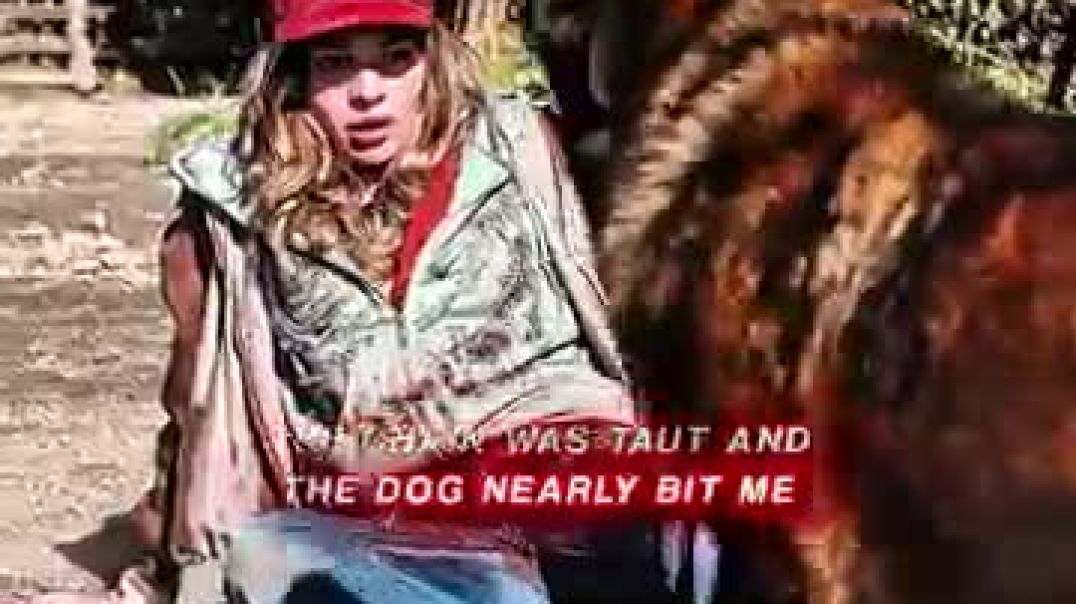 Viral amazing video