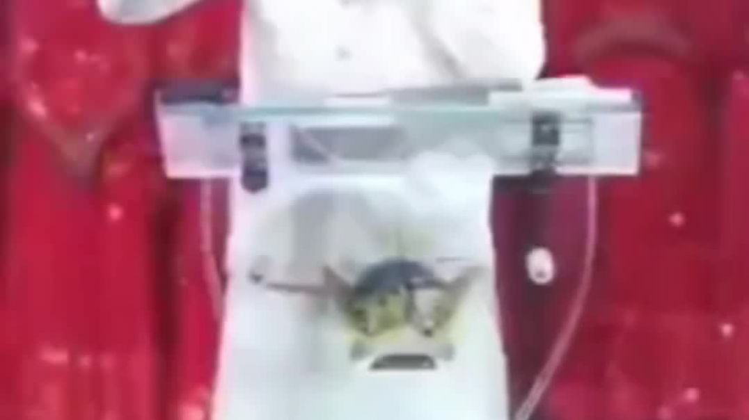 ⁣आज का भविष्यवाणी वचन 🔥 | मसीहियों के लिए बड़ी चेतावनी | 06 March 2026