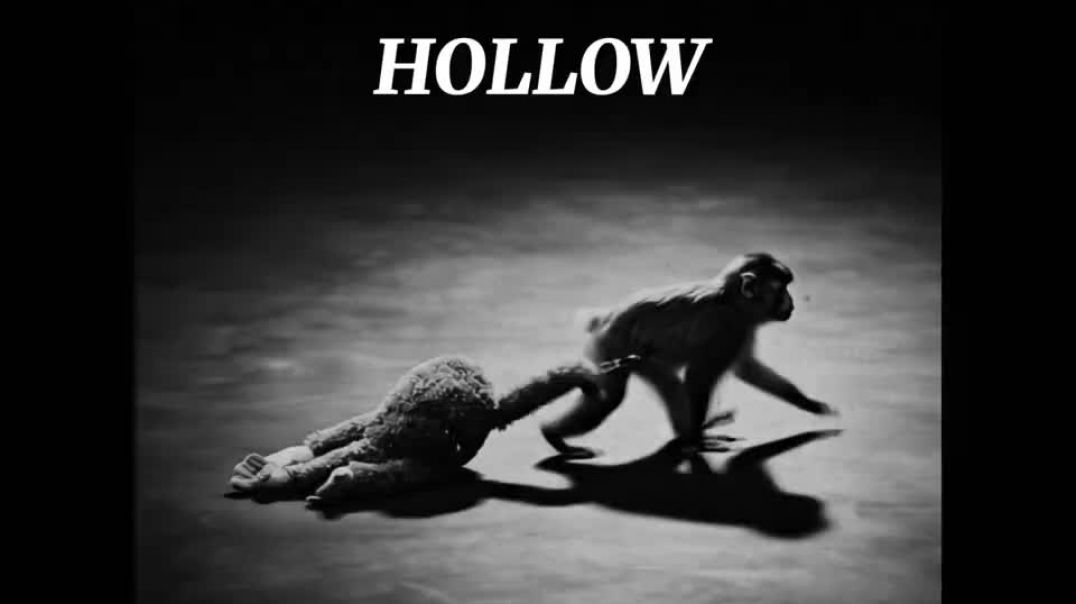 Hollow_Official_Audio_Mahesh_Jangra_Shinu_720P