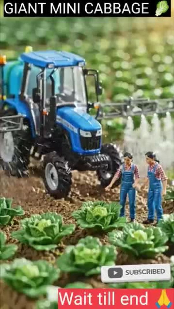 You Won’t Believe This Tiny Cabbage Farm! 🥬  Mini farming story #shorts #farming #miniature