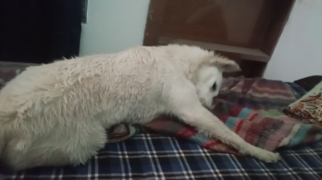 ⁣Masti ME #viral#trending