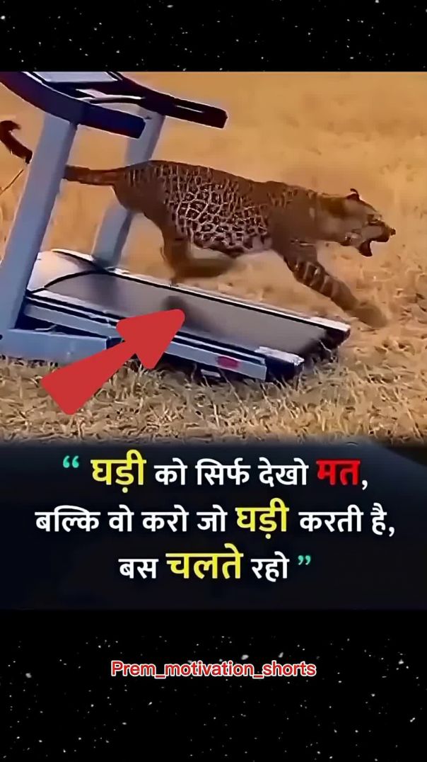 #premmotivationalshorts_#motivation_#shorts_#successmindset_#dailymotivation_#premmotivation(1080p)