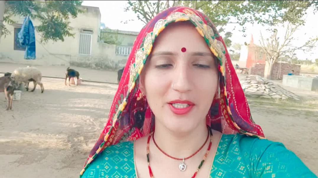 ⁣होलिका दहन 🙏 स्पेशल vlog