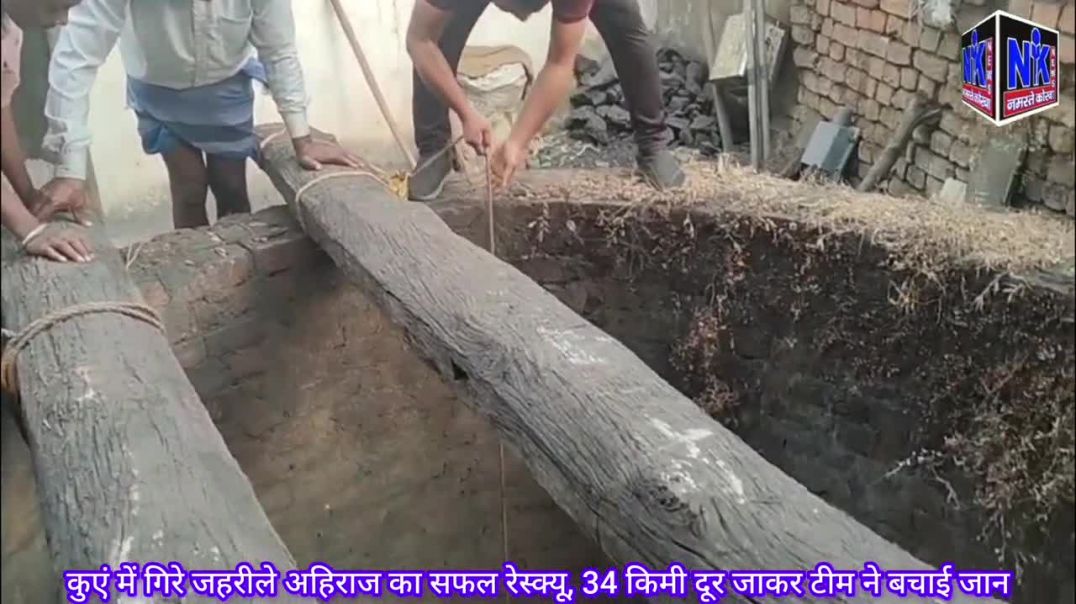 ⁣कुएं में गिरे जहरीले अहिराज का सफल रेस्क्यू, 34 किमी दूर जाकर टीम ने बचाई जान