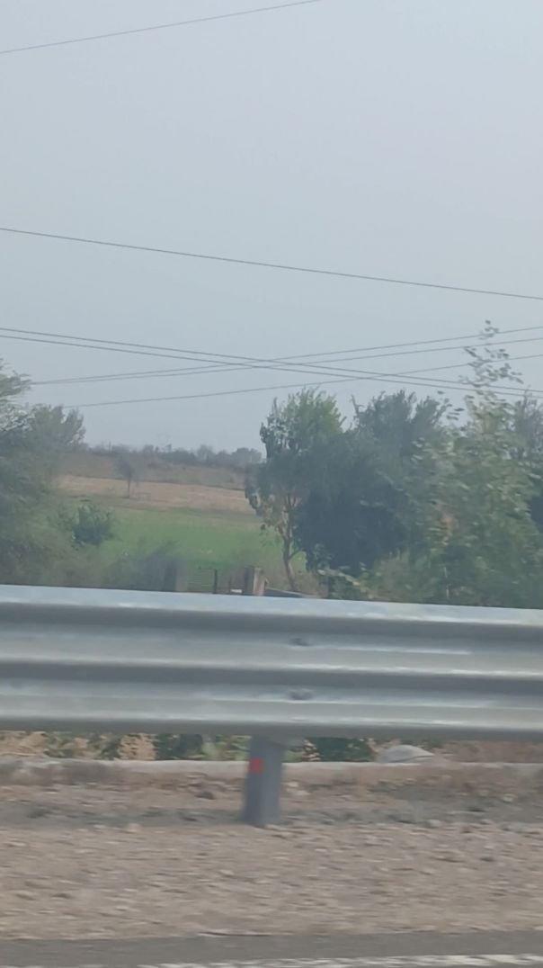 सुहाना सफर