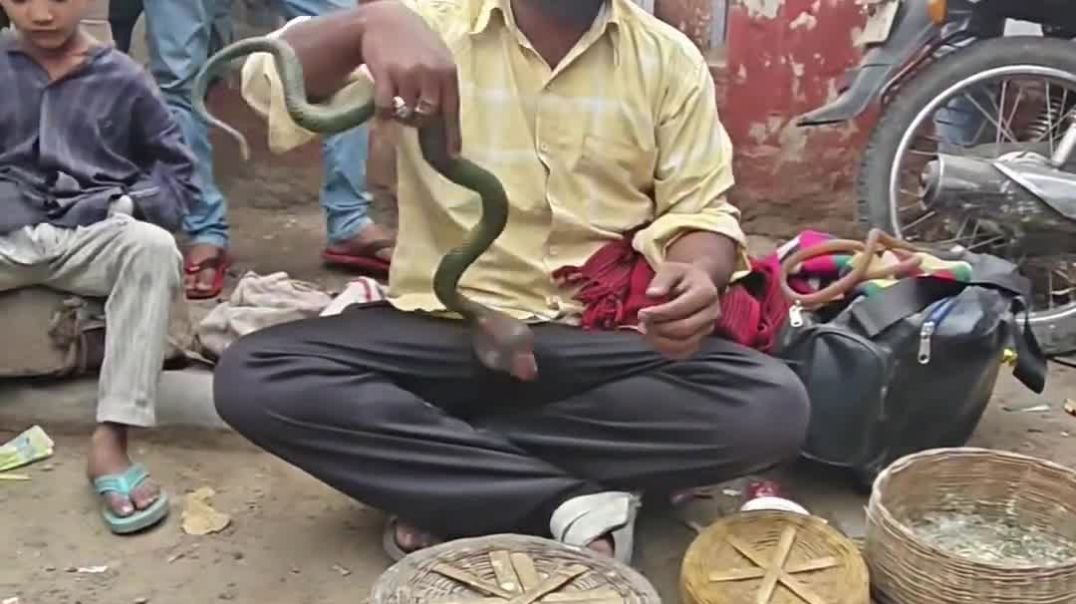 Bhartiya_jadugar_1080P