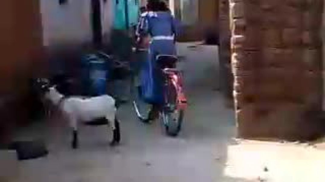 ⁣My life ka 1st bycycle