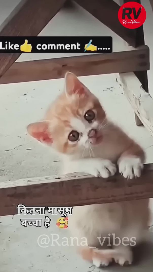 Kitna masum hu maiii