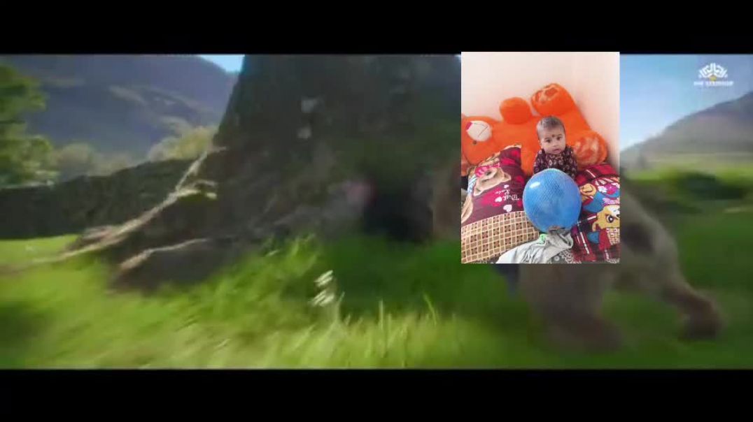 ⁣खरगोश इंसान की प्यारी सी ना जोक बड़े भी देखो और बच्चे भी देखो मजा आएगा हंस हंस के लोटपोट हो जाओगे 😂😂