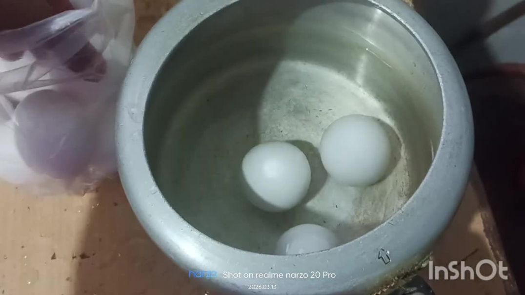 ⁣पहली बार बनायेव अंडा अउ मटर के साग 😋#cgvlog#cgsisters vlog #daily vlog #recipe