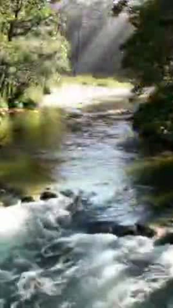 VID-20251029-WA0204