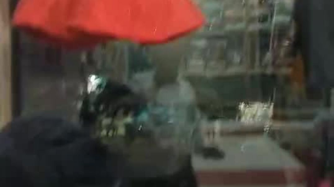 ⁣VID-20251010-WA0078