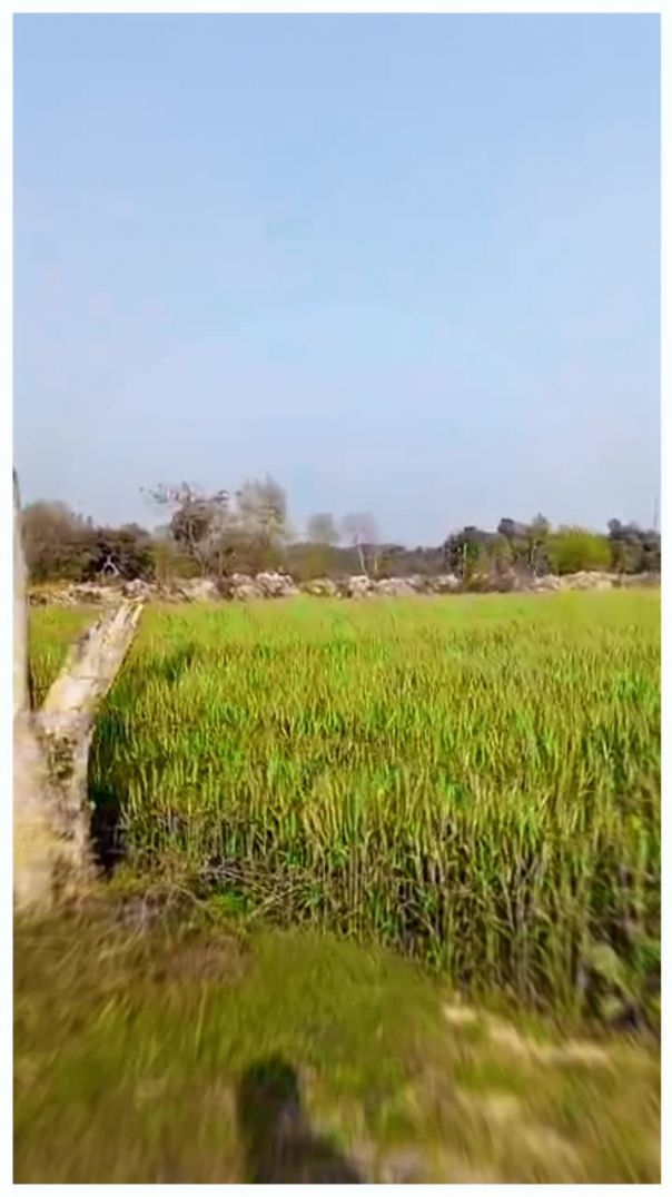 #villagelife #desilife #summervibes #indianvillage​ #villagevlog #rurallife