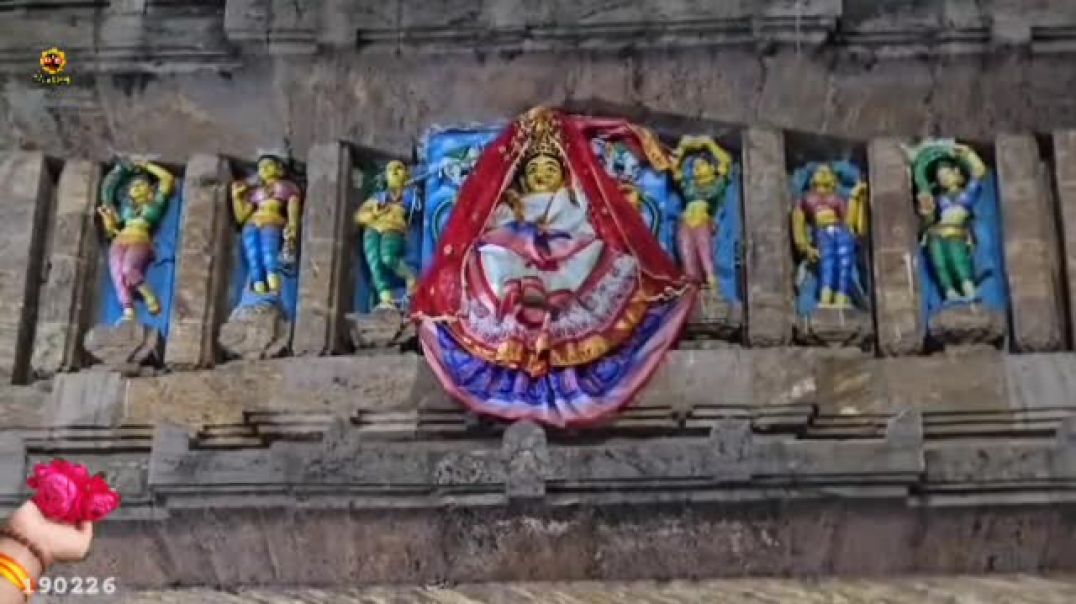 ⁣VID-20260219-WA0096