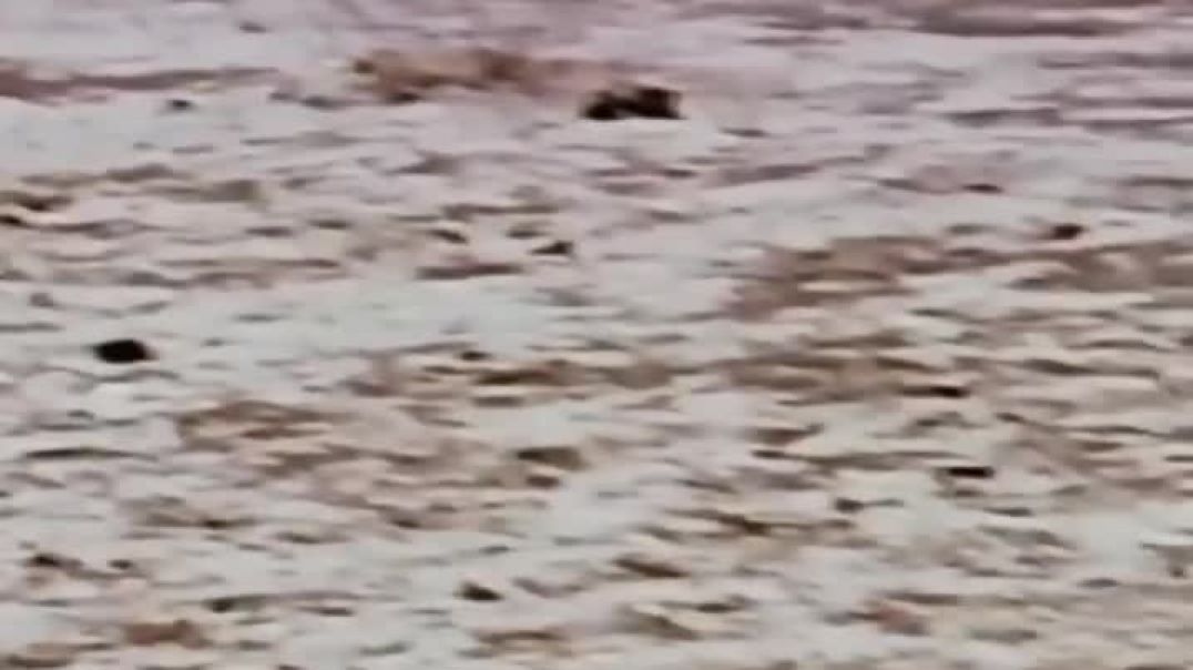 kbhi tnhaiyo mai yu hmari yad ayegi