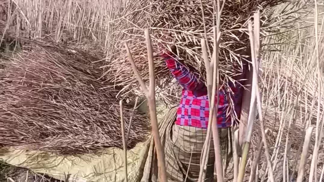 ⁣आईए मित्रों खेतों में काम करते हैं