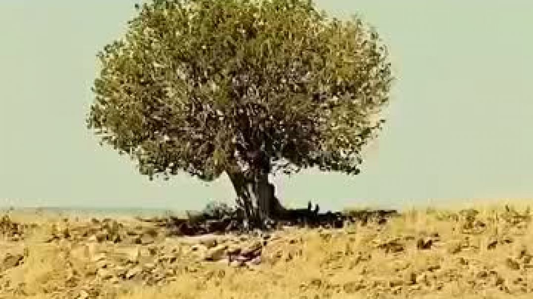 ⁣movies explained in hindi #hollywoodmovies #horrorstorie #ai #aminals #shortvideo #shorts #adventure